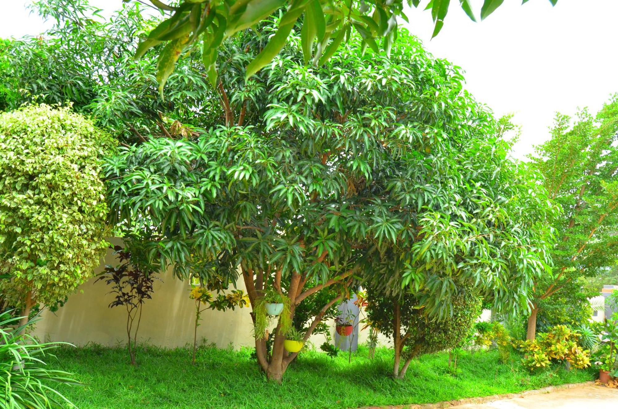 Chobe Kulotu Guest House Kasane Zewnętrze zdjęcie